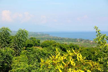 Villa in Lovina / Temukus (Bali) oder Ferienwohnung oder Ferienhaus