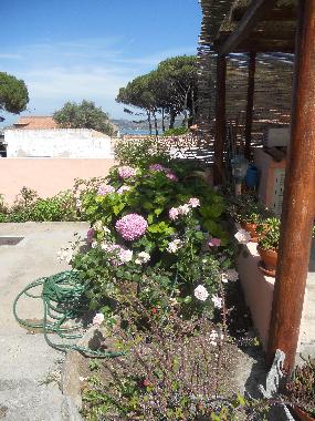 Pension in LA MADDALENA (Olbia-Tempio) oder Ferienwohnung oder Ferienhaus