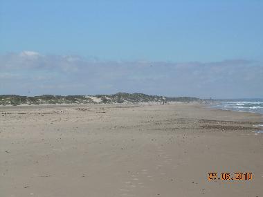 Ferienhaus in Saltum Strand (Nordjylland) oder Ferienwohnung oder Ferienhaus