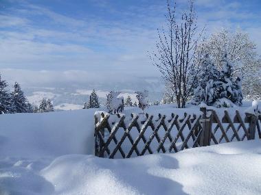 Der Garten im Winterschlaf