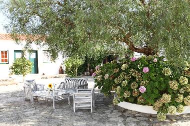 Pension in Caldas da Rainha (Oeste) oder Ferienwohnung oder Ferienhaus