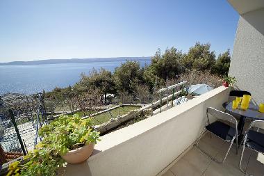 Ferienwohnung in Marusici (Splitsko-Dalmatinska) oder Ferienwohnung oder Ferienhaus