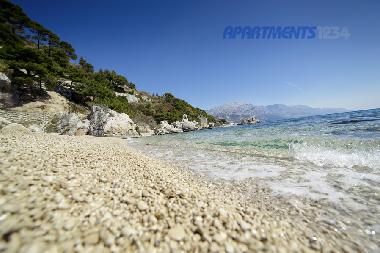 Ferienwohnung in Marusici (Splitsko-Dalmatinska) oder Ferienwohnung oder Ferienhaus