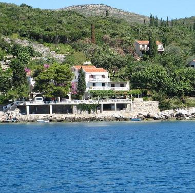 Ferienwohnung in Molunat  (Dubrovacko-Neretvanska) oder Ferienwohnung oder Ferienhaus