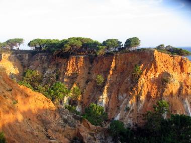 Ferienwohnung in Olhos D