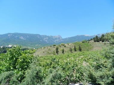 Ferienhaus in Gurzuf (Krym, Avtonomna Respublika) oder Ferienwohnung oder Ferienhaus