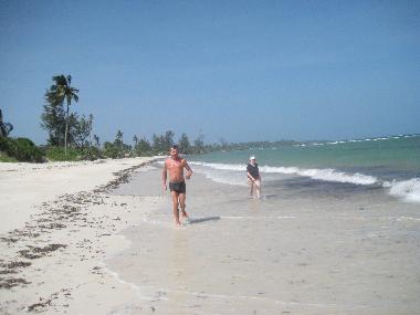 Ferienhaus in Msambweni (Coast) oder Ferienwohnung oder Ferienhaus