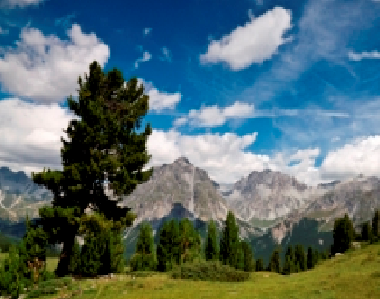 Ferienwohnung in Scuol (Scuol) oder Ferienwohnung oder Ferienhaus