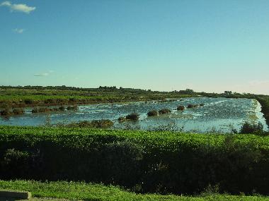 Ferienwohnung in Tavira (Algarve) oder Ferienwohnung oder Ferienhaus