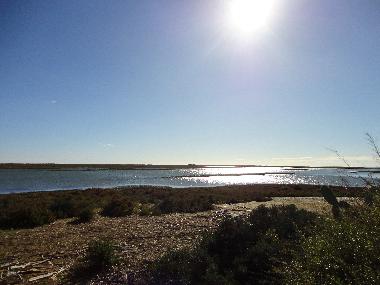 Ferienwohnung in Tavira (Algarve) oder Ferienwohnung oder Ferienhaus