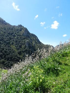 Die traumhafte Umgebung