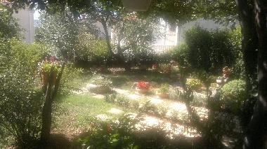 Ferienhaus in Starigrad Paklenica (Zadarska) oder Ferienwohnung oder Ferienhaus