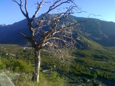Ferienhaus in Sestanovac (Splitsko-Dalmatinska) oder Ferienwohnung oder Ferienhaus