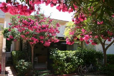 Ferienhaus in Ragusa (Ragusa) oder Ferienwohnung oder Ferienhaus