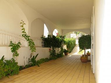 Ferienhaus in Vale Para (Algarve) oder Ferienwohnung oder Ferienhaus