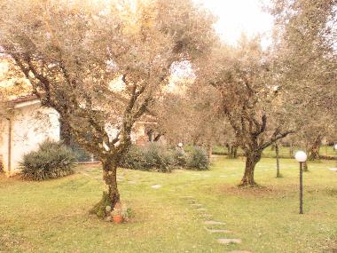 Ferienwohnung in Pozzi di Seravezza (Lucca) oder Ferienwohnung oder Ferienhaus