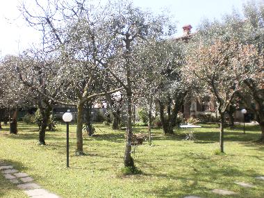 Ferienwohnung in Pozzi di Seravezza (Lucca) oder Ferienwohnung oder Ferienhaus