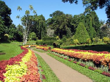 Ferienhaus in Mahakanda Kandy (Kandy) oder Ferienwohnung oder Ferienhaus
