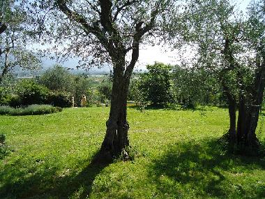 Ferienhaus in San Quirico di Moriano (Lucca) oder Ferienwohnung oder Ferienhaus