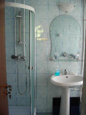 Ferienhaus in Piatra Neamt (Neamt) oder Ferienwohnung oder Ferienhaus