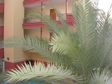 Ferienwohnung in Alanya (Antalya) oder Ferienwohnung oder Ferienhaus