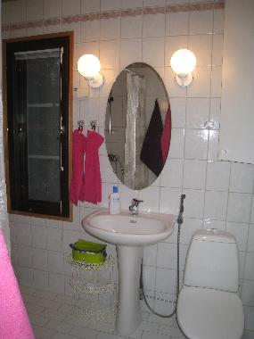 Ferienhaus in Rovaniemi (Lappi) oder Ferienwohnung oder Ferienhaus