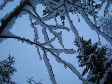 Ferienhaus in Rovaniemi (Lappi) oder Ferienwohnung oder Ferienhaus