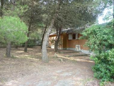 Villa in Porto Azzurro (Livorno) oder Ferienwohnung oder Ferienhaus