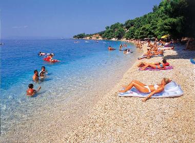 Ferienwohnung in Podgora (Splitsko-Dalmatinska) oder Ferienwohnung oder Ferienhaus