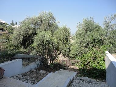 Ferienhaus in chlorakas (Paphos) oder Ferienwohnung oder Ferienhaus