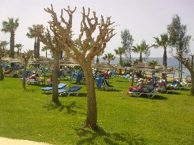 Ferienhaus in chlorakas (Paphos) oder Ferienwohnung oder Ferienhaus