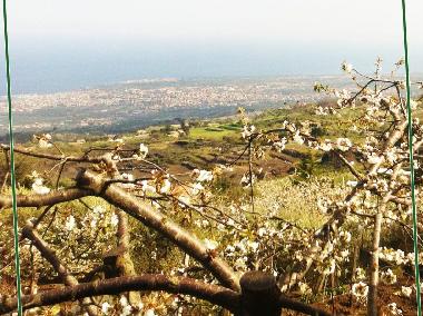 Ferienhaus in Montargano di Mascali (Catania) oder Ferienwohnung oder Ferienhaus
