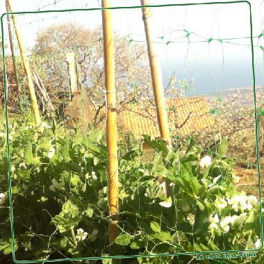 Ferienhaus in Montargano di Mascali (Catania) oder Ferienwohnung oder Ferienhaus