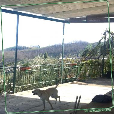 Ferienhaus in Montargano di Mascali (Catania) oder Ferienwohnung oder Ferienhaus