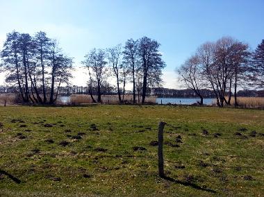 Pferdekoppel zwischen See und Ferienhaus