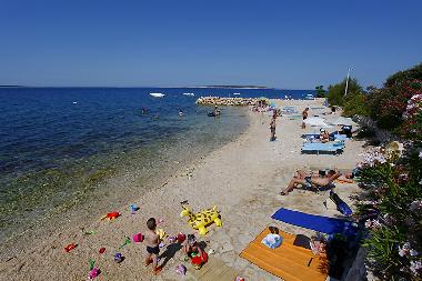 Ferienwohnung in Mandre (Zadarska) oder Ferienwohnung oder Ferienhaus