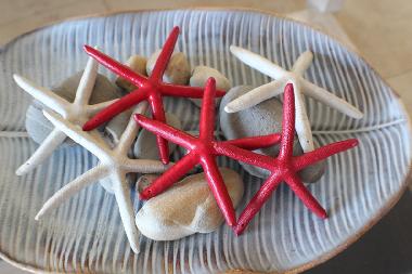 Ferienwohnung in Porters (Saint James) oder Ferienwohnung oder Ferienhaus