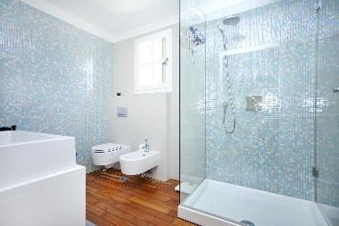 Villa in Rovinj (Istarska) oder Ferienwohnung oder Ferienhaus