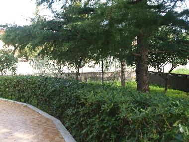 Ferienhaus in Mascalucia Catania (Catania) oder Ferienwohnung oder Ferienhaus