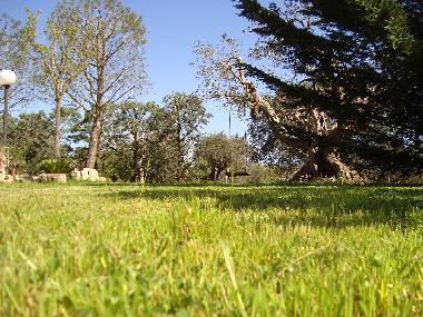 Ferienhaus in Castellana Grotte (Bari) oder Ferienwohnung oder Ferienhaus