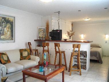 Ferienwohnung in Ciudad de Mendoza (Mendoza) oder Ferienwohnung oder Ferienhaus