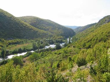Ferienhaus in Sestanovac (Splitsko-Dalmatinska) oder Ferienwohnung oder Ferienhaus