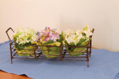 Ferienhaus in Savelletri (Brindisi) oder Ferienwohnung oder Ferienhaus