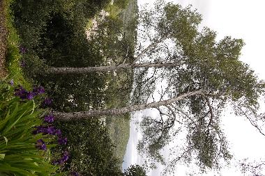 Ferienwohnung in villeneuve loubet (Alpes-Maritimes) oder Ferienwohnung oder Ferienhaus