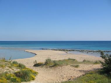 Villa in Manduria (Taranto) oder Ferienwohnung oder Ferienhaus