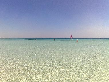 Villa in Manduria (Taranto) oder Ferienwohnung oder Ferienhaus