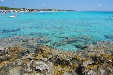 Villa in Manduria (Taranto) oder Ferienwohnung oder Ferienhaus