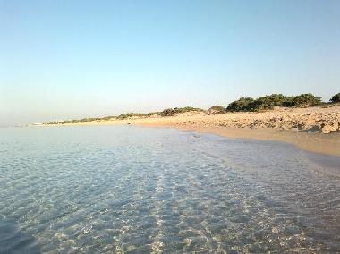 Villa in Manduria (Taranto) oder Ferienwohnung oder Ferienhaus