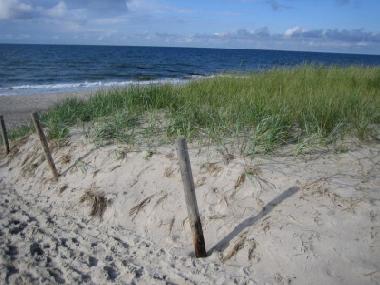 Ferienwohnung in Graal-M�ritz (Fischland-Dar�-Zingst) oder Ferienwohnung oder Ferienhaus