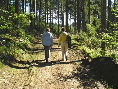 Ferienwohnung in Paliseul (Wallonien) oder Ferienwohnung oder Ferienhaus